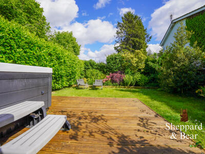 Picture 11